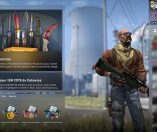 Counter Strike : Global Offensive