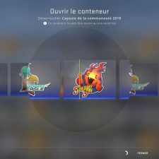 Counter Strike : Global Offensive