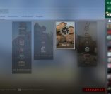 Counter Strike : Global Offensive