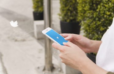 Twitter : demander la vérification, apparition d’un lien