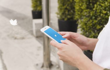 Twitter : demander la vérification, apparition d’un lien