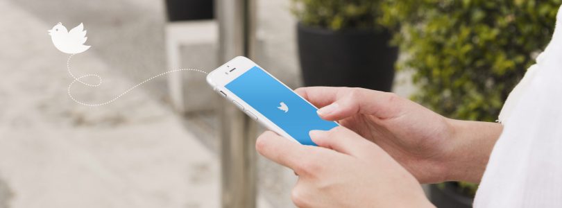 Twitter : demander la vérification, apparition d’un lien