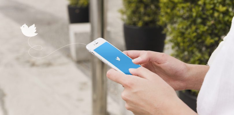 Twitter : demander la vérification, apparition d’un lien