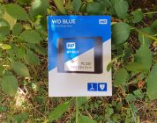 Western Digital : un SSD dédié pour le stockage de vos données