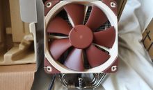 Noctua