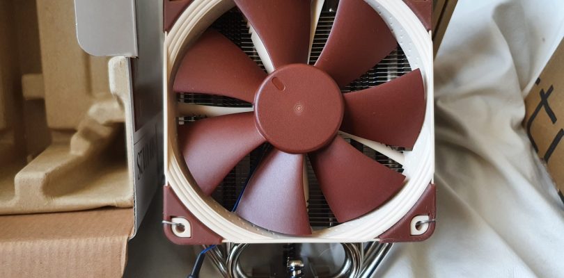Noctua