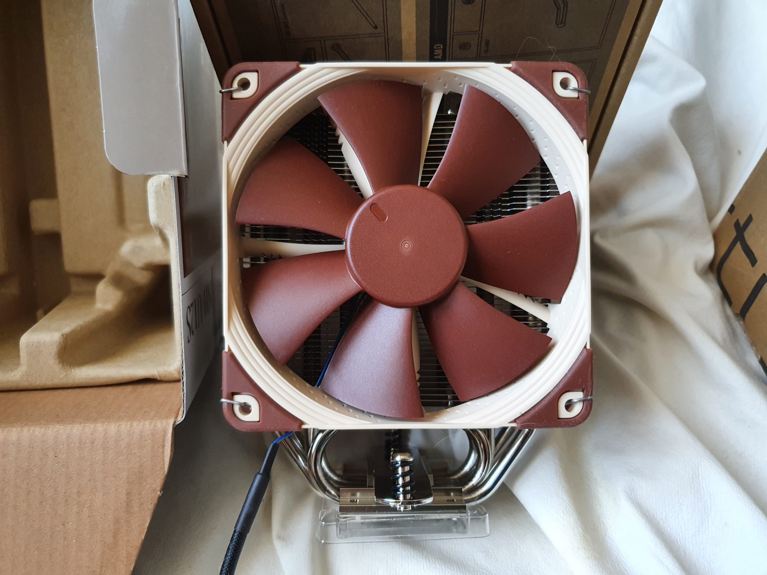 Coperta Plaid In Pile 44 Gatti - Design Fucsia Per Bambini E Adulti, 100x140 Cm, Lavabile - Foto 10